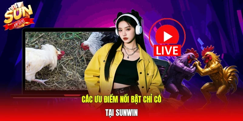 Các ưu điểm nổi bật chỉ có tại Sunwin